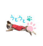 うとです。（個別スタンプ：8）