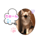 レアルとジョニー（個別スタンプ：7）