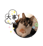 レアルとジョニー（個別スタンプ：11）
