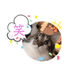 レアルとジョニー（個別スタンプ：16）