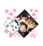 レアルとジョニー（個別スタンプ：17）