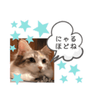 レアルとジョニー（個別スタンプ：20）
