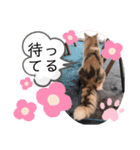 レアルとジョニー（個別スタンプ：24）