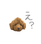 さん太3（個別スタンプ：5）
