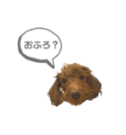 さん太3（個別スタンプ：6）