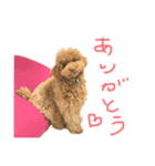 さん太3（個別スタンプ：18）