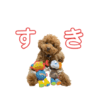 さん太3（個別スタンプ：23）
