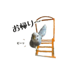 レイとラム（個別スタンプ：12）