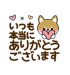 毎日使える豆柴♡敬語柴犬【デカ文字】（個別スタンプ：16）