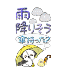 【Big】シーズー犬24『梅雨』（個別スタンプ：17）