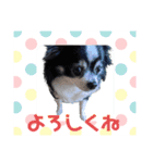 23.なると（個別スタンプ：5）