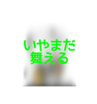 撮り鉄誤字＆名言集3（個別スタンプ：13）