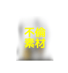 撮り鉄誤字＆名言集3（個別スタンプ：16）