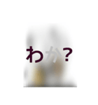撮り鉄誤字＆名言集3（個別スタンプ：21）
