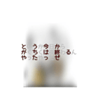 撮り鉄誤字＆名言集3（個別スタンプ：22）