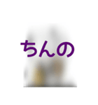撮り鉄誤字＆名言集3（個別スタンプ：23）