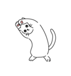 ミーム猫 EP2（個別スタンプ：3）