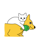 ミーム猫 EP2（個別スタンプ：31）