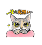 てんてこ、てん。〜てんと9匹の保護猫達〜（個別スタンプ：34）