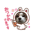 でかcat（個別スタンプ：5）