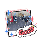 どうでしょうか？（個別スタンプ：1）