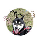 どうでしょうか？（個別スタンプ：3）