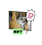 葵くんとまるこの日常（個別スタンプ：3）