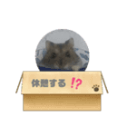 葵くんとまるこの日常（個別スタンプ：8）