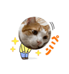 オリにゃんこ②（個別スタンプ：2）