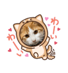 オリにゃんこ②（個別スタンプ：10）