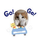 オリにゃんこ②（個別スタンプ：13）