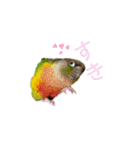 我が家のウロコインコはぴちゃん（個別スタンプ：27）