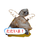 とあるおウチのAとP（個別スタンプ：7）