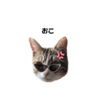 moco the cat. 2（個別スタンプ：7）