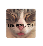 moco the cat. 2（個別スタンプ：16）