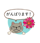 あいさつ猫さんスタンプ（個別スタンプ：23）