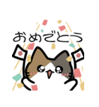 ねこじゃらしスタンプ（個別スタンプ：2）