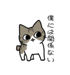 ねこじゃらしスタンプ（個別スタンプ：38）