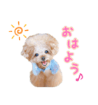 the N 〜ノエルくんのにこにこ☺︎スタンプ（個別スタンプ：1）