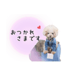 the N 〜ノエルくんのにこにこ☺︎スタンプ（個別スタンプ：2）