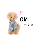 the N 〜ノエルくんのにこにこ☺︎スタンプ（個別スタンプ：10）