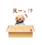 the N 〜ノエルくんのにこにこ☺︎スタンプ（個別スタンプ：12）