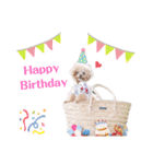 the N 〜ノエルくんのにこにこ☺︎スタンプ（個別スタンプ：15）
