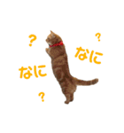 ぐぅとじゅじゅとくーたのゆるスタンプ（個別スタンプ：11）