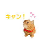 ぐぅとじゅじゅとくーたのゆるスタンプ（個別スタンプ：18）