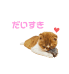 ぐぅとじゅじゅとくーたのゆるスタンプ（個別スタンプ：25）