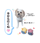 つぼみちゃん♡スタンプ（個別スタンプ：3）