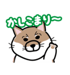 ねこしば〜猫のような柴犬〜（個別スタンプ：11）