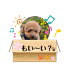Sakuraと仲間たち（個別スタンプ：12）