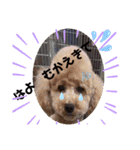 Sakuraと仲間たち（個別スタンプ：22）